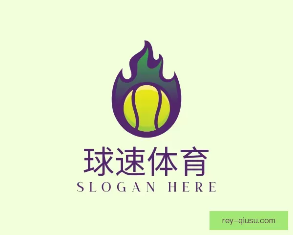 关于球速体育